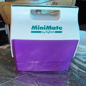 Vintage “Orchid” Igloo MiniMate